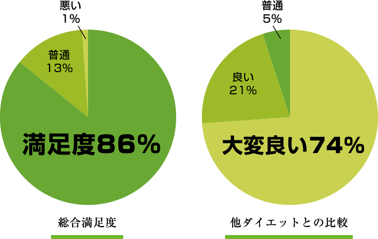 3ヶ月で確実に効果を出すダイエット