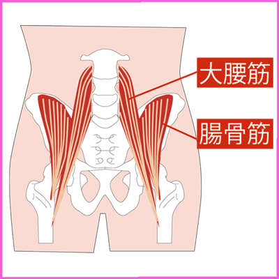 腸活シリーズ第６弾 ポッコリお腹にサヨナラ 腸腰筋で排便力を高める方法 メディケアコラム 肥満外来で痩せる 簡単ダイエットならメディケアダイエット 東京