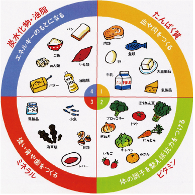 知っておきたい4つの食品群と必須ルール メディケアコラム 肥満外来で痩せる 簡単ダイエットならメディケアダイエット 東京 知っておきたい4つの食品群と必須ルール メディケアコラム 肥満外来で痩せる 簡単ダイエットならメディケアダイエット 東京
