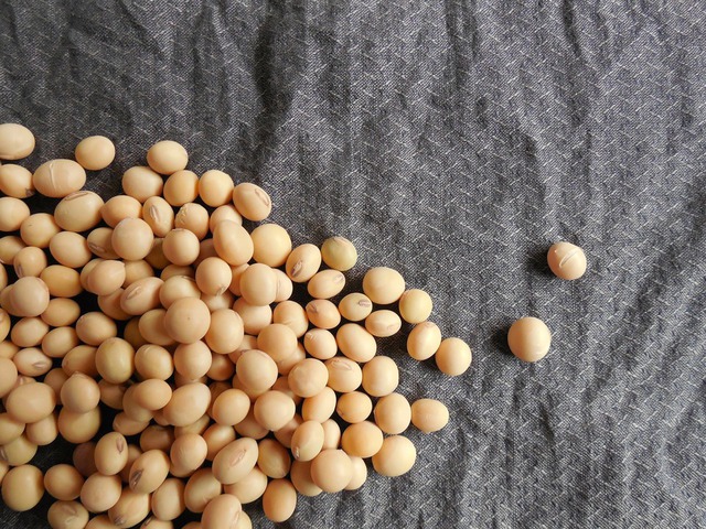 soybeans-182294_1920.jpg