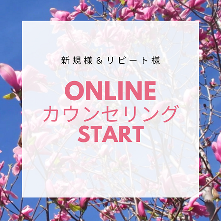 オンラインカウンセリング